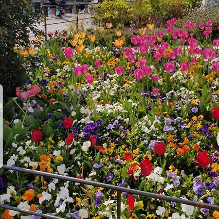 Appartamento Rosy Peschiera del Garda Ngoại thất bức ảnh